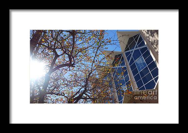 Blue Sky Framed Print featuring the photograph Looking up #1 by De La Rosa Concert Photography