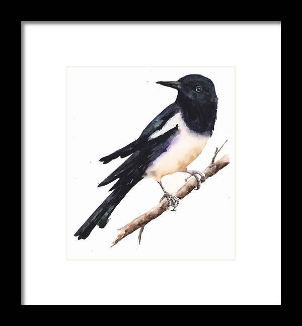 Magpie Framed Print featuring the painting Magpie Painting #1 by Alison Fennell