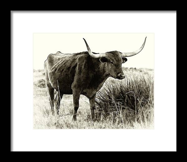 Bill Kesler Photography Framed Print featuring the photograph Mama Longhorn by Bill Kesler