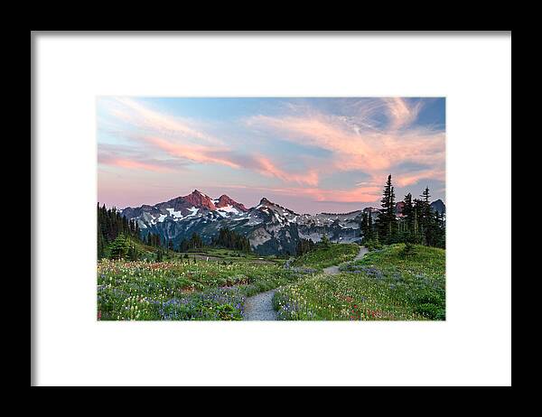 Alpine Framed Print featuring the photograph Mazama Ridge Wildflowers by Michael Russell