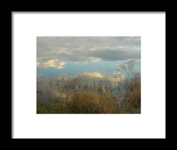 Nature Framed Print featuring the photograph Morning Reflections #1 by Sheila Silverstein