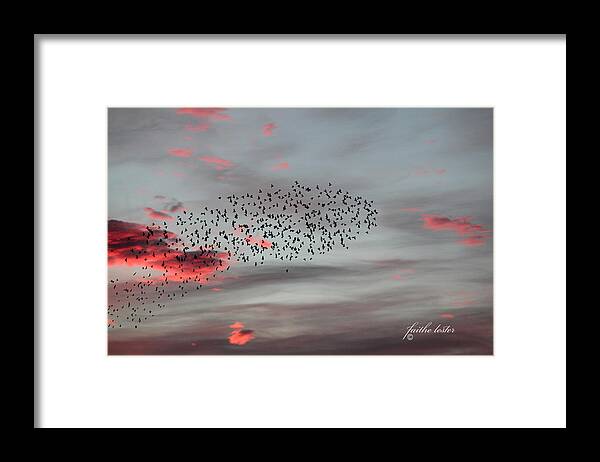 Sunrise Framed Print featuring the photograph Morning Stretch III by E Faithe Lester