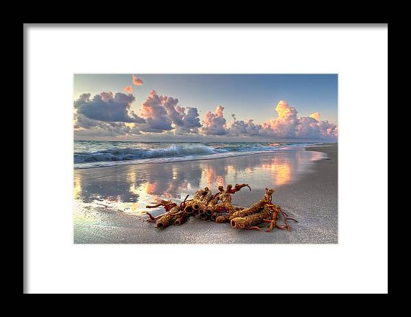 Blowing Framed Print featuring the photograph Morning Surf by Debra and Dave Vanderlaan