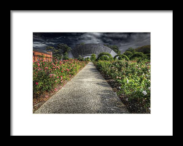 Flowers Framed Print featuring the photograph Mothership #2 by Wayne Sherriff