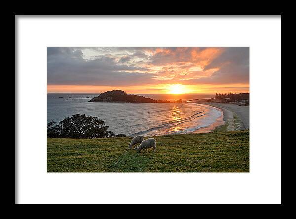 Scenics Framed Print featuring the photograph Mount Maunganui Sunrise #1 by Steve Clancy Photography