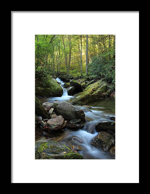 Streams Framed Print featuring the photograph Mountain Stream #1 by Heavens View Photography