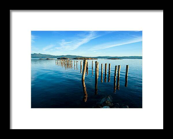  Water Framed Print featuring the photograph Myrtle Remnants #1 by Darren Bradley