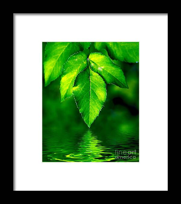 Abstract Framed Print featuring the photograph Natural leaves background #1 by Michal Bednarek