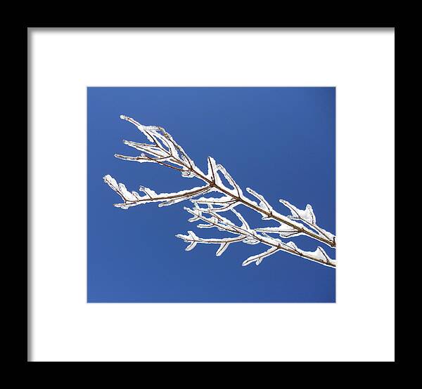 Weather Framed Print featuring the photograph Winter's Icing by Diannah Lynch