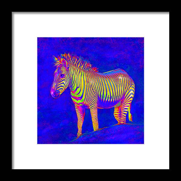  Jane Schnetlage Framed Print featuring the digital art Neon Zebra 2 #2 by Jane Schnetlage