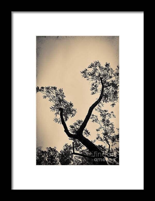 Landscapes Framed Print featuring the photograph No Title 2 by Gerlinde Keating - Galleria GK Keating Associates Inc