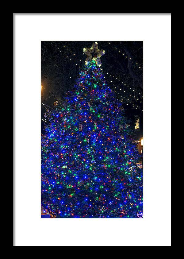 Holiday Framed Print featuring the photograph O Christmas Tree #1 by Kenneth Albin