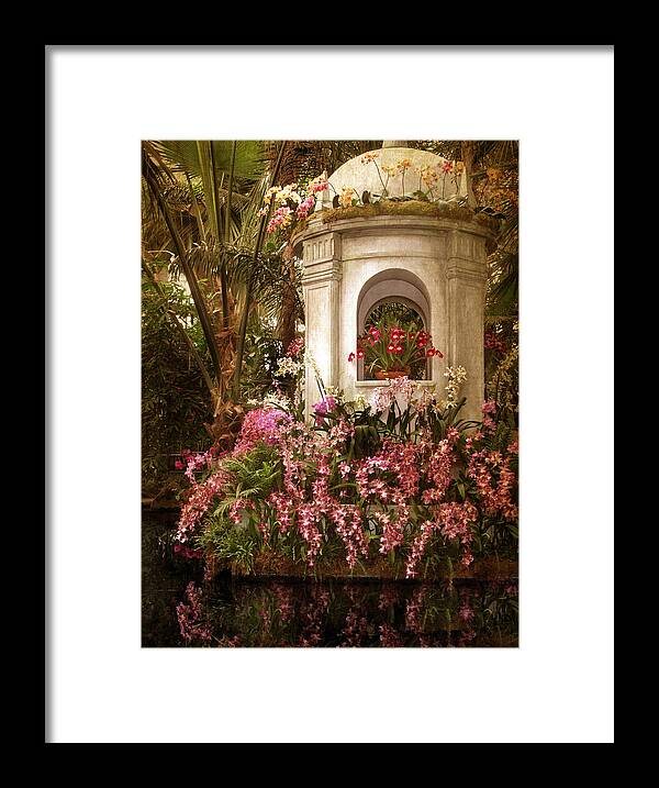 Flowers Framed Print featuring the photograph Orchid Garden by Jessica Jenney