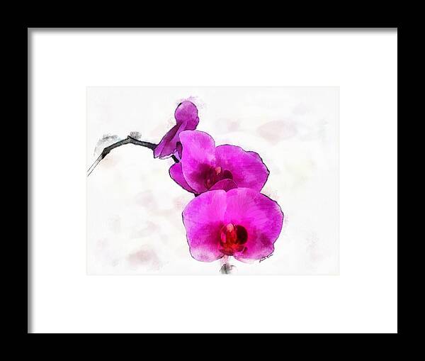 Orchid Framed Print featuring the painting Orchids #1 by Charlie Roman