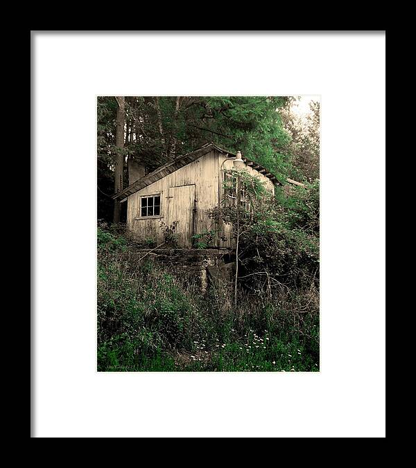 Barn Framed Print featuring the photograph Overgrown #1 by Steve Godleski
