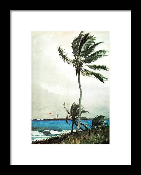 Winslow Homer Framed Print featuring the painting Palm Tree Nassau by Celestial Images