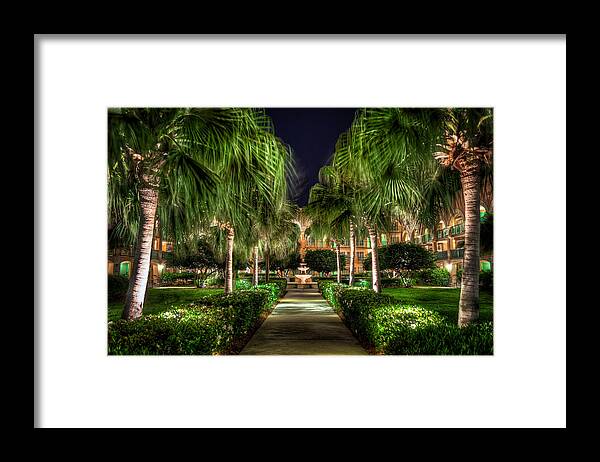 Florida Framed Print featuring the photograph Palm Walkway #1 by Tim Stanley