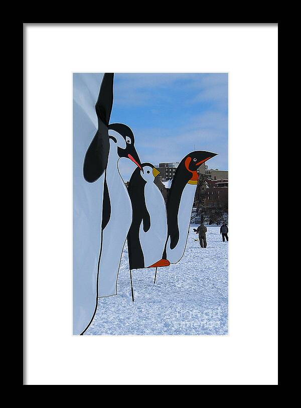 Snow Framed Print featuring the photograph Penguins #1 by Steven Ralser