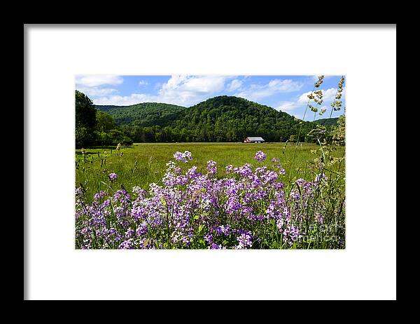 Phlox Framed Print featuring the photograph Phlox and Barn #1 by Thomas R Fletcher