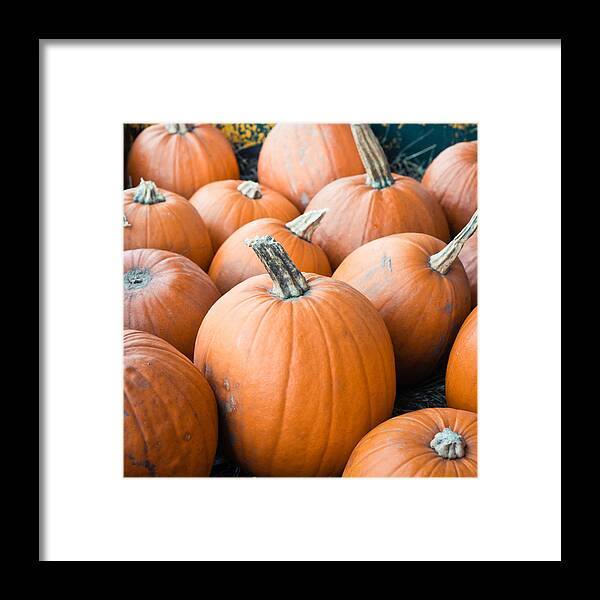 Autumn Framed Print featuring the photograph Pumpkins #1 by Tom Gowanlock