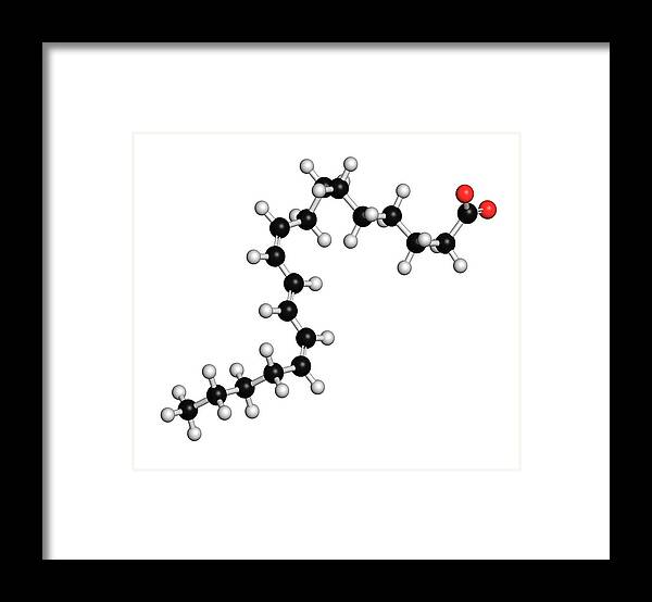 Punicic Framed Print featuring the photograph Punicic Acid Molecule #1 by Molekuul/science Photo Library