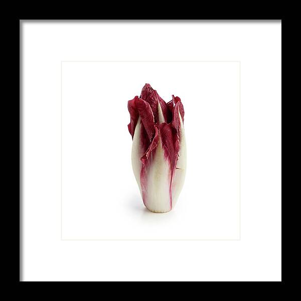 Close Up Framed Print featuring the photograph Radicchio #1 by Science Photo Library