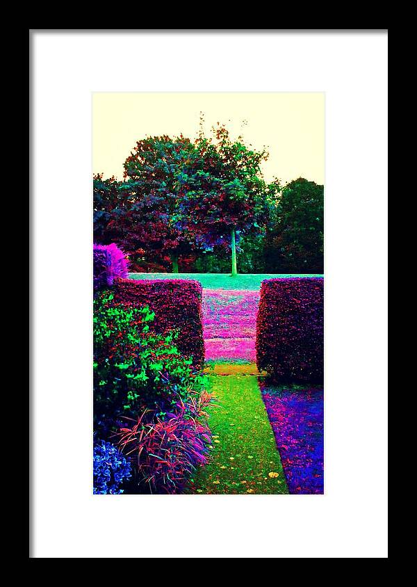 Garden Gardens Path Walkway Bright Ccolours Colourful Tree Trees Rainbow Background Bush Edit Framed Print featuring the photograph Rainbow Garden #1 by Candy Floss Happy