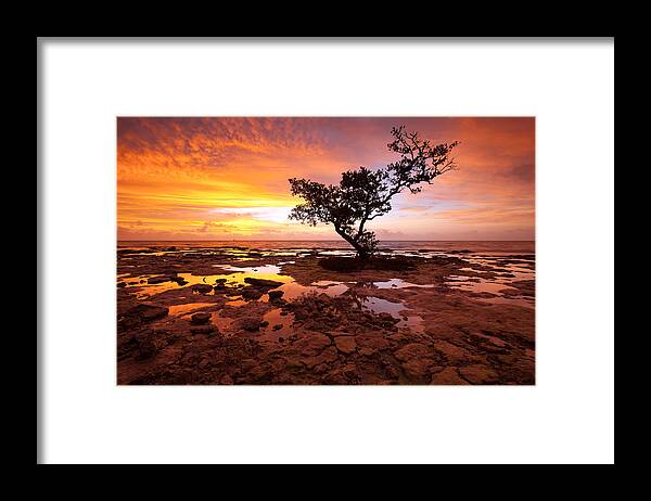 Florida Framed Print featuring the photograph Reverence by Patrick Downey