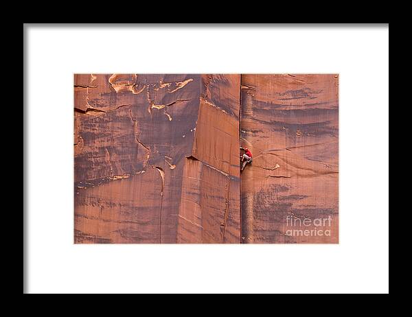 00559218 Framed Print featuring the photograph Rock Climber Indian Creek Utah by Yva Momatiuk John Eastcott