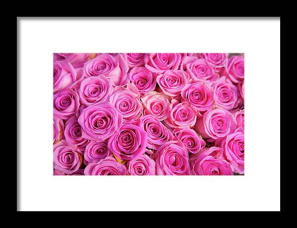 Fragility Framed Print featuring the photograph Roses For Sale In A Florist #1 by Owen Franken