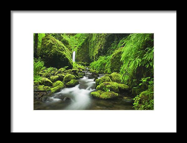 Grass Framed Print featuring the photograph Ruckel Creek Waterfall, Columbia River #1 by Alan Majchrowicz