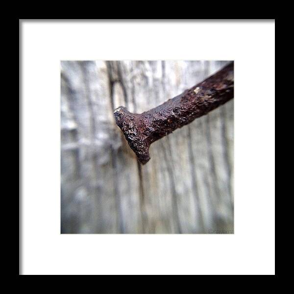 Rustynail Framed Print featuring the photograph Rusty Nail #1 by Natasha Marco