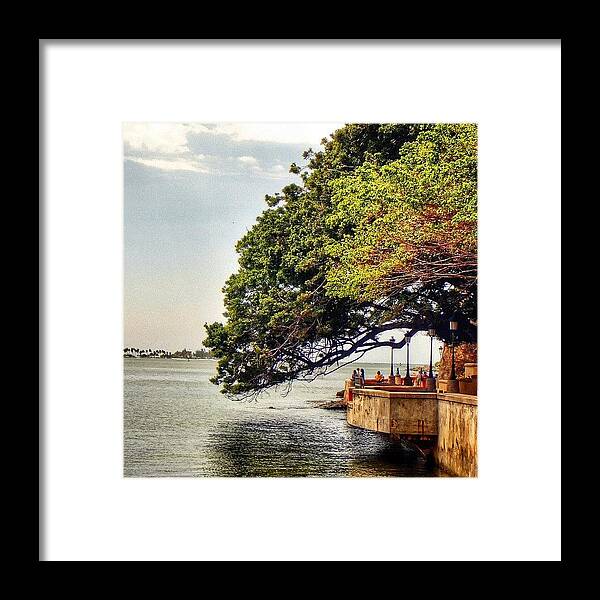 Sanjuan Framed Print featuring the photograph San Juan , Puerto Rico, Us Virgin #1 by Octav Studio