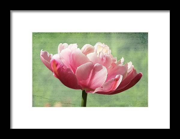 Pink Tulip Framed Print featuring the photograph Sending of Flowers by Trina Ansel