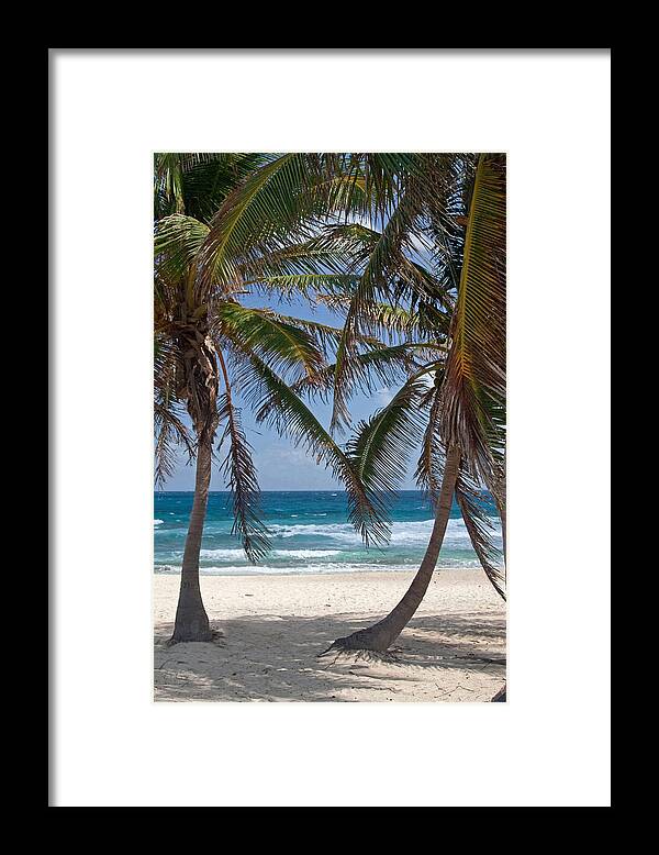 Palm Trees Framed Print featuring the photograph Serene Caribbean Beach by Sven Brogren