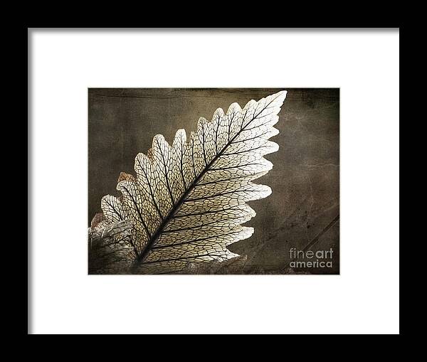 Leaf Framed Print featuring the photograph Shapes of Hawaii 2 by Ellen Cotton