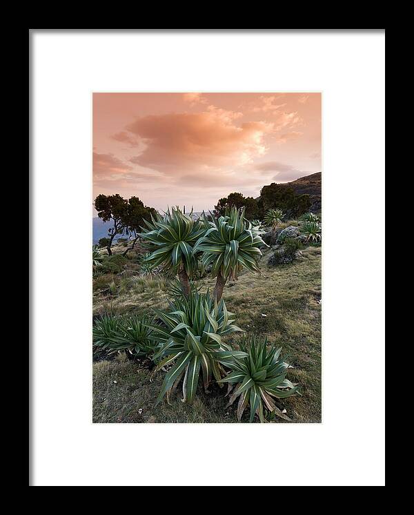 Simien Mountains Framed Print featuring the photograph Simien Escarpment Landscape At Sunrise #1 by John Elk