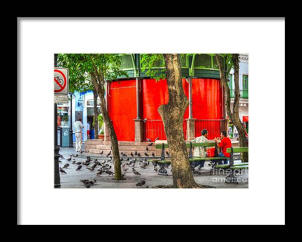 Bench Framed Print featuring the photograph Sitting on a Park Bench #2 by Debbi Granruth