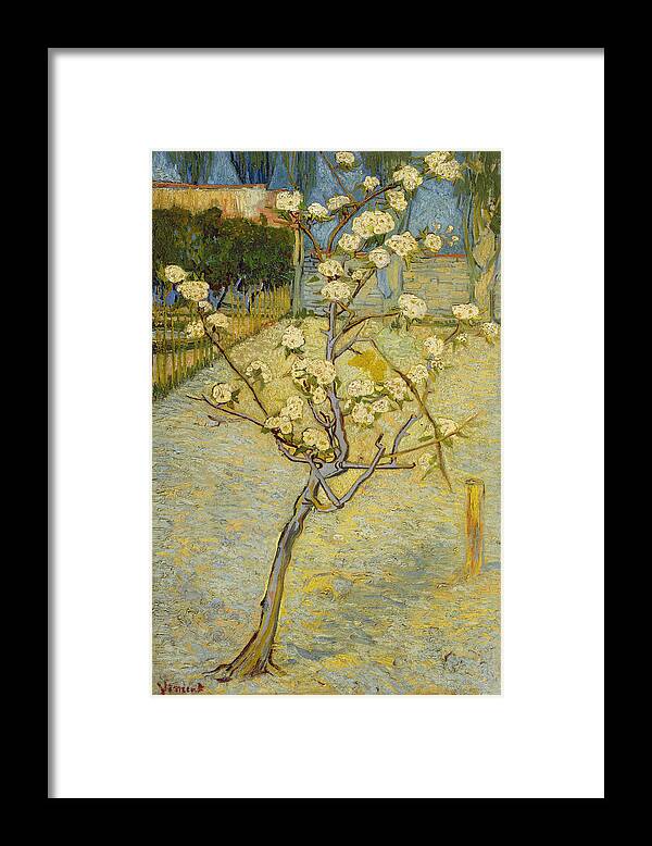 Vincent Van Gogh Framed Print featuring the painting Small Pear Tree In Blossom #1 by Vincent Van Gogh