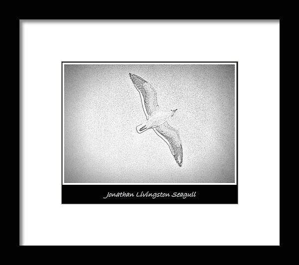 Jonathan Livingston Seagull Framed Print featuring the photograph Soaring Seagull #1 by Kevin B Bohner