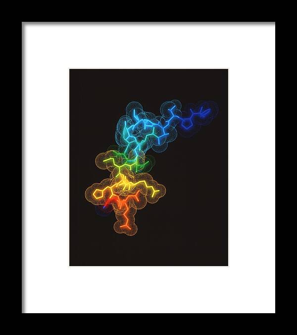 Molecule Framed Print featuring the photograph Somatotropin Growth Hormone Molecule #1 by Alfred Pasieka/science Photo Library