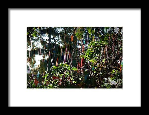 Nature Framed Print featuring the photograph Spider Optics #1 by Julia Hassett