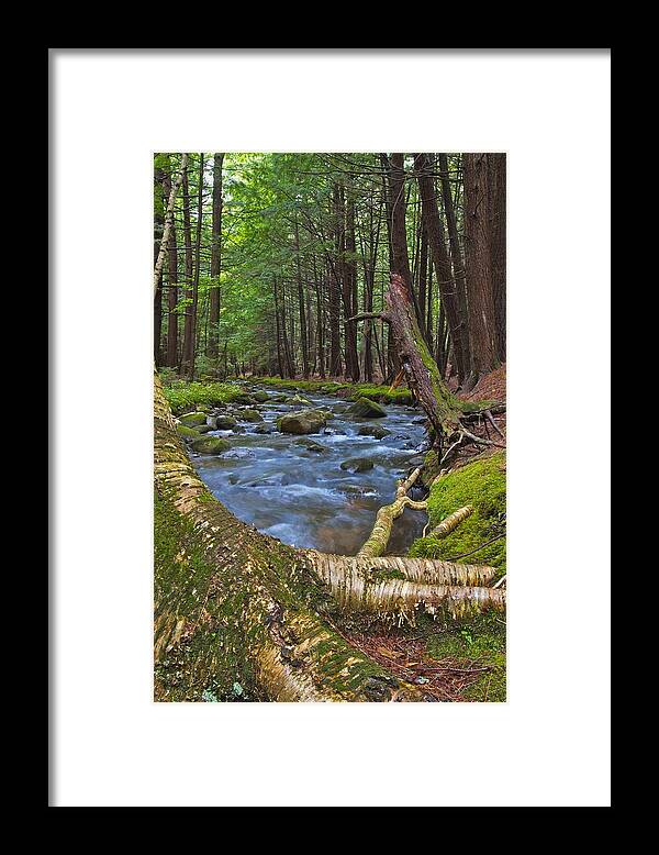  Framed Print featuring the photograph Spirit of the Stream #1 by Dale J Martin
