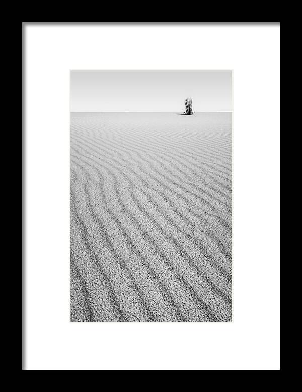 Landscape Framed Print featuring the photograph Sprout #1 by Ryan Heffron