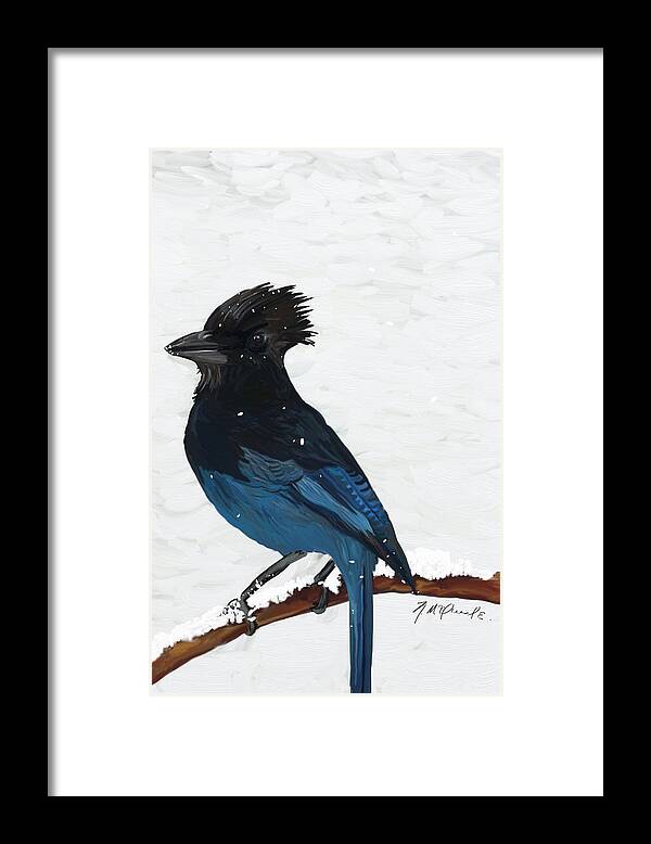 Blue Framed Print featuring the digital art Stellar Jay #1 by Naomi McQuade