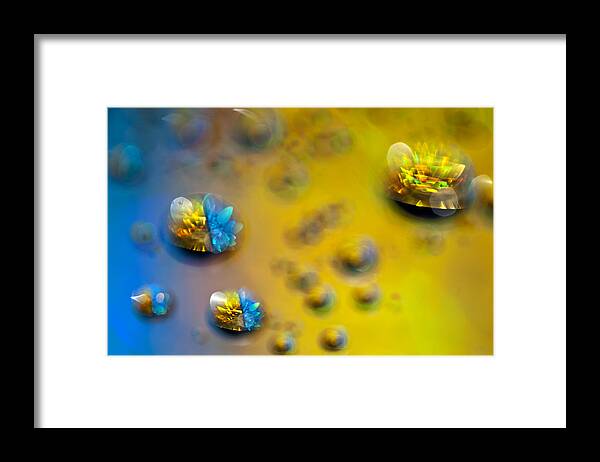 Color Framed Print featuring the photograph Study 132 #1 by Al Hurley