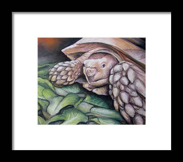 Tortoise Framed Print featuring the painting Sulcata Tortoise #1 by Melinda Saminski