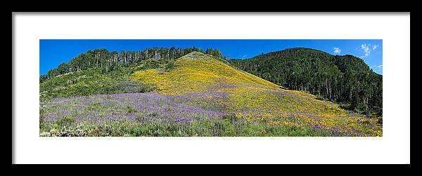 Photography Framed Print featuring the photograph Sunflowers And Larkspur Wildflowers #1 by Panoramic Images