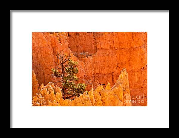 Bryce Canyon Framed Print featuring the photograph Sunset Point Bryce Canyon National Park #1 by Fred Stearns