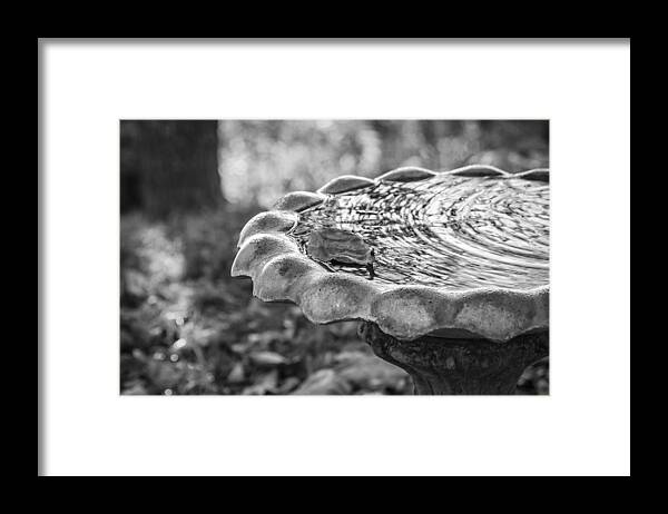 Birdbath Framed Print featuring the photograph Tennessee Birdbath #2 by Carolyn Marshall